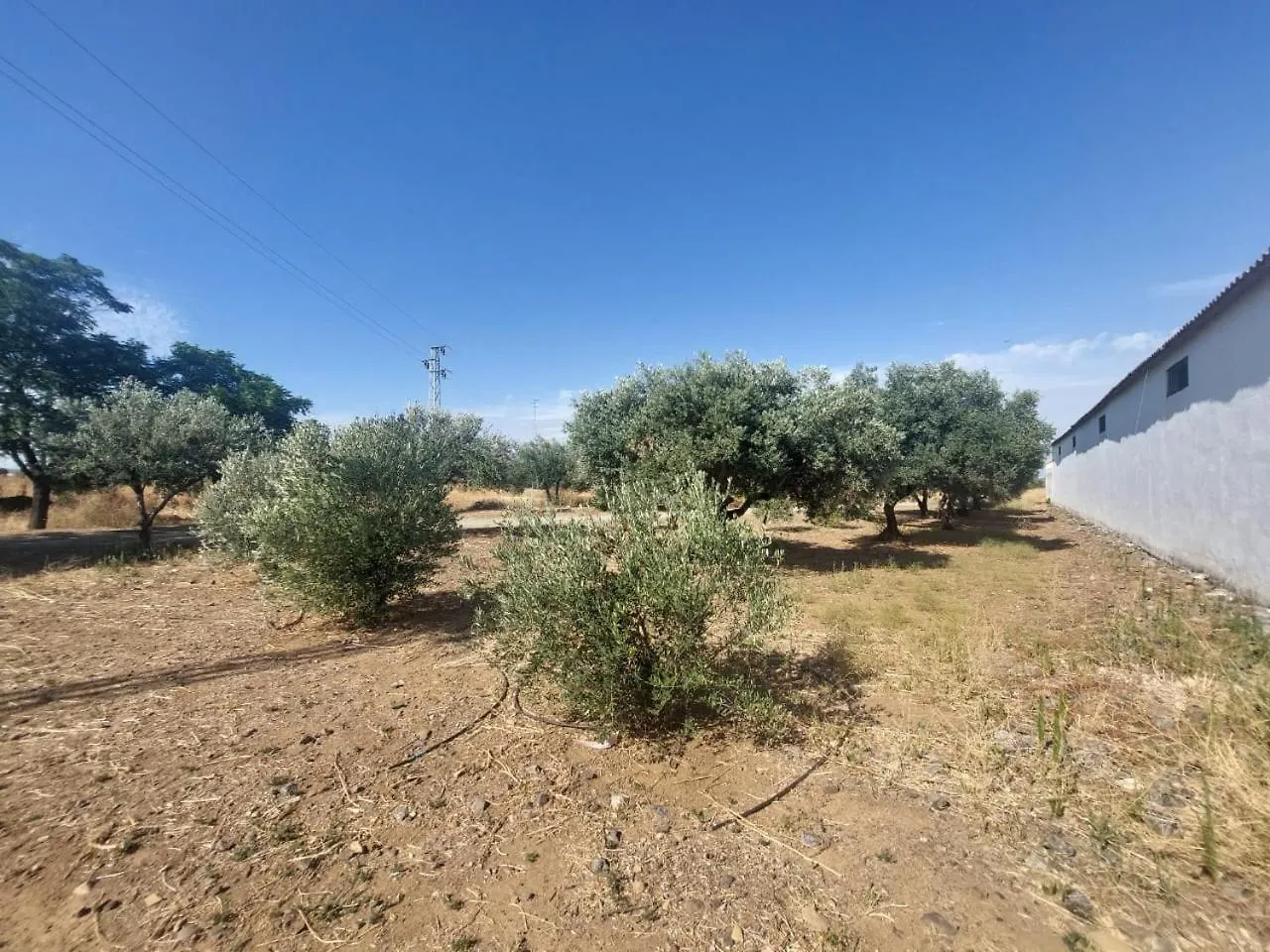 Cortijo Las Cruces Guillena - Sevilla 0*,  Španělsko