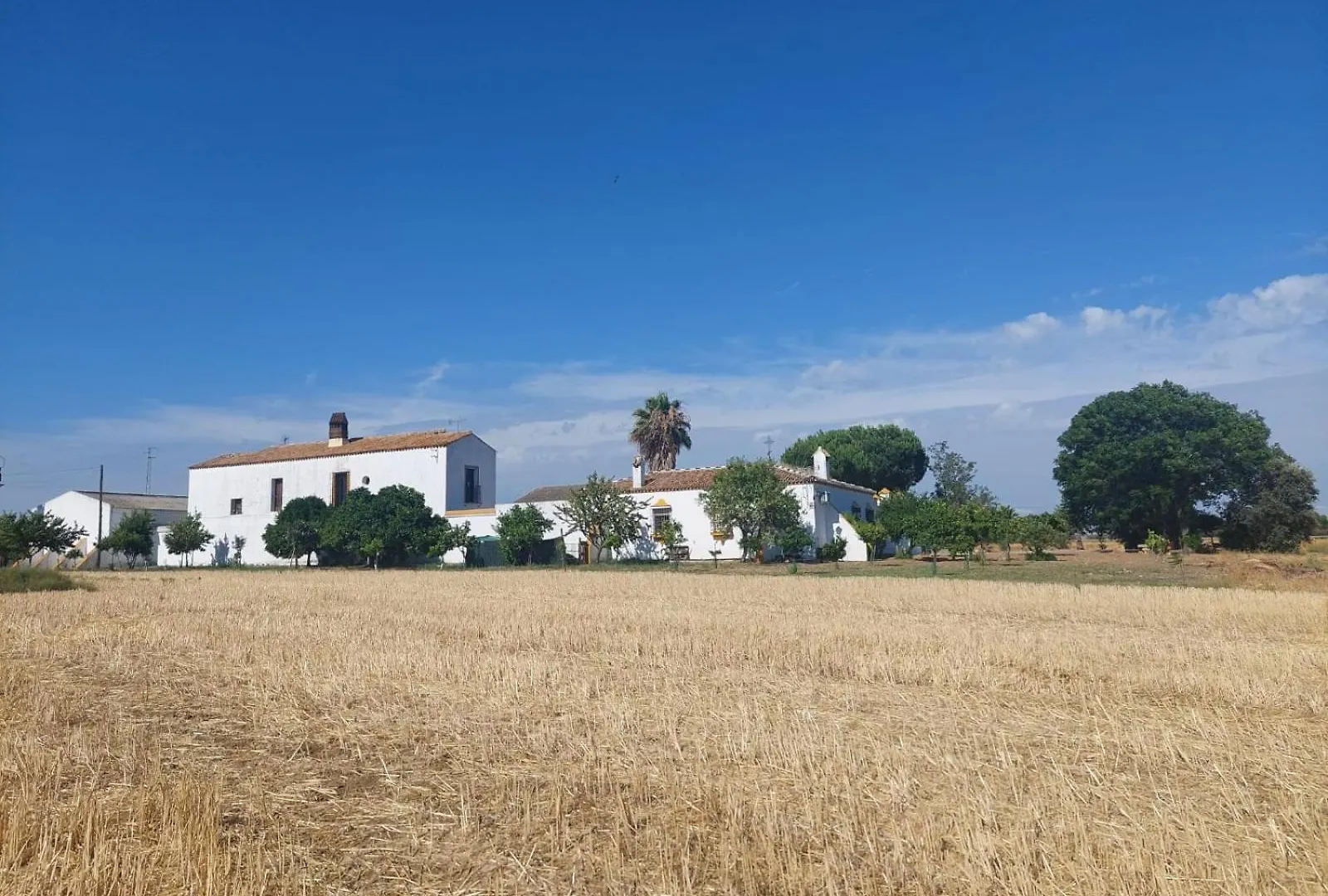 Cortijo Las Cruces Guillena - Sevilla 0*,